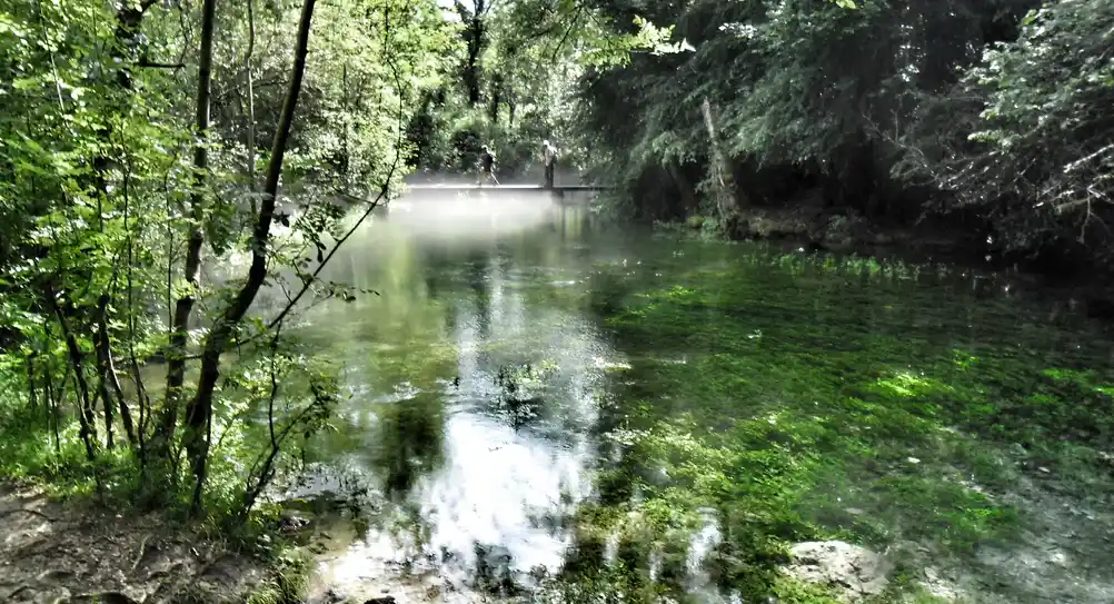 Source du Durzon